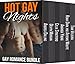 Hot Gay Nights: Gay Romance Bundle