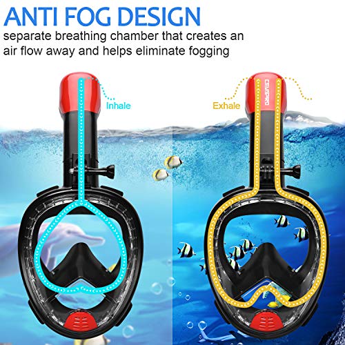 Cevapro Snorkel Mask, 4th Generation Full Face Snorkeling Mask for Adult Kids Youth with Detachable Camera Mount, 180°Panoramic View Anti-Fog Anti-Leak Free Breathing Dry Top Set-General Size