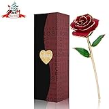 PREUP Love Forever Beautiful Long Stem Gold Foil Trim Red Rose Flower Best Gift (Red)