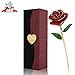 PREUP Love Forever Beautiful Long Stem Gold Foil Trim Red Rose Flower Best Gift (Red)