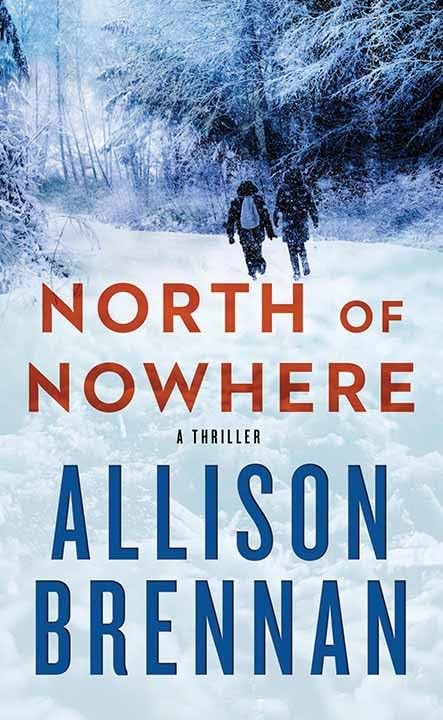 North of Nowhere (Platinum Mystery Series) Image