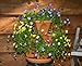 Natures Distributing 3 Tier Stacking Planter-Flower, Herb, Stackable Garden, Vegetable-Self-Watering-Indoor/Outdoor (Terracotta)