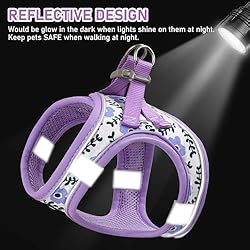 GAMUDA Small Pet Harness Collar and Leash Set, Step