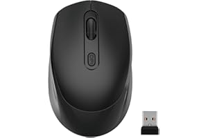Wireless Mouse for Laptop, 2.4G Quiet Computer Mouse with USB Receiver, DPI Adjustable, Compatible with Chromebook, Laptop, P