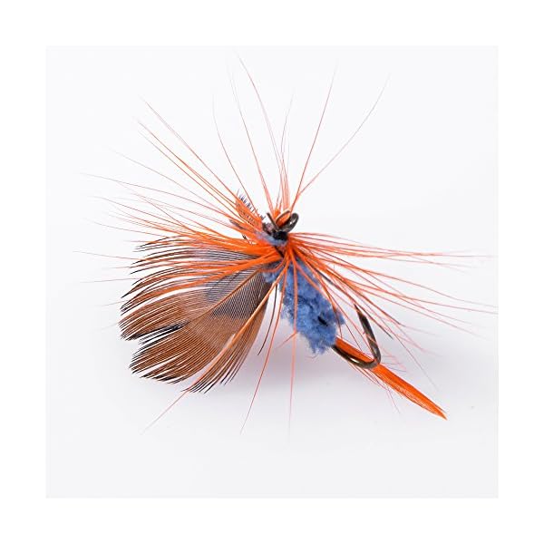 BLISSWILL-48Pcs-Butterfly-Fly-Fishing-Lures-Dry-Flies-Set-Floating-Flies-Hooks-for-Bass-Salmon-Trout