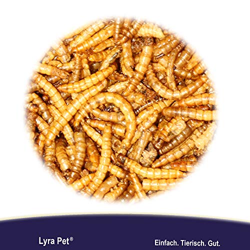 Lyra Pet® | 5 kg Mehlwürmer getrocknet | Proteinreiches Vogelfutter | Für Wildvögel, Nager, Reptilien & Fische | Nahrhaftes Futter | Energiespender für Insektenfresser | Vitamine & Mineralstoffe – Bild 3