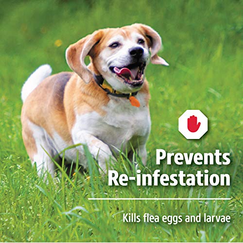 Hartz UltraGuard Dual Action Topical Flea & Tick Treatment for Dogs and Puppies 1530lbs, 3