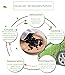 Odor Eliminator Charcoal Odor Absorber Natural Refrigerator Deodorizer Activated Charcoal Air Purifying Bag.Bamboo Carbon Odor Remover For Car,Smoke,Home,Closet,Bathroom,Pet,Trash can Air-freshener