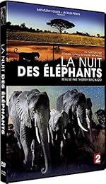 La Nuit des éléphants