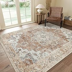 GENIMO 3x5 Area Rugs for Living Room, Machine