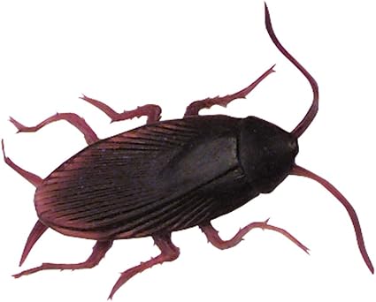 all metal tonka truck