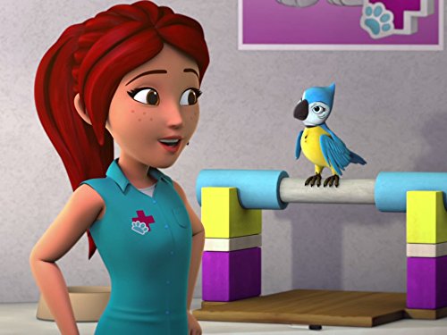 Watch LEGO Friends: United As One, Vol. 3 | Prime Video