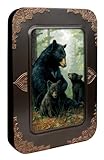 Tree-Free Greetings Noteables Notecards In Reusable Embossed Tin, 12 Card Assortment, Recycled, 4 x 6 Inches, Bear Family, Multi Color (76051)