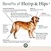 Veterinary Naturals Hemp & HIPS Joint Supplement for Dogs - 60 Soft Chews for Dog Hip and Joint Supplement with Glucosamine for Dogs, MSM, & Turmeric (Rotisserie Chicken)