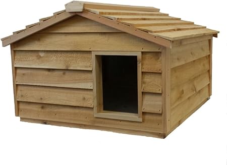 heated cat house amazon