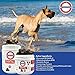 Stratford Pharmaceuticals CadaFlex Soft Chews with MSM - Glucosamine for Dogs - All-Natural Hip & Joint Pain Relief -Glucosamine Chondroitin Dogs Treats - Large Dogs - 150 Soft Chews