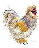 Journal: Silkie Cockerel (Chicken Collection) by Dreamflight Publications