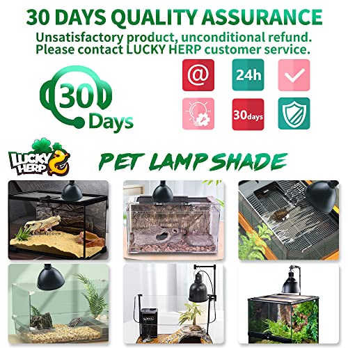 LUCKY HERP Aluminum 5.5inch Shallow Dome Reptile Light Fixture, Reptile