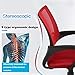 BestOffice Office Chair Ergonomic Cheap Desk Chair Mesh Computer Chair Lumbar Support Modern Executive Adjustable Stool Rolling Swivel Chair for Back Pain (Red)
