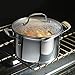 Emeril Lagasse Stainless Steel Dutch Oven, 5-Quart, Silver