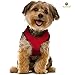 Radiant Red Dog Harness by SunGrow: Comfortable, Soft breathable fabric: Adjustable from 14 to 20”: Safe Padded neck opening: Easy Snap on and off: Secure Straps & D rings