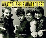 What You See Is What You Get: Stiff Little Fingers 1977-1983 by 
