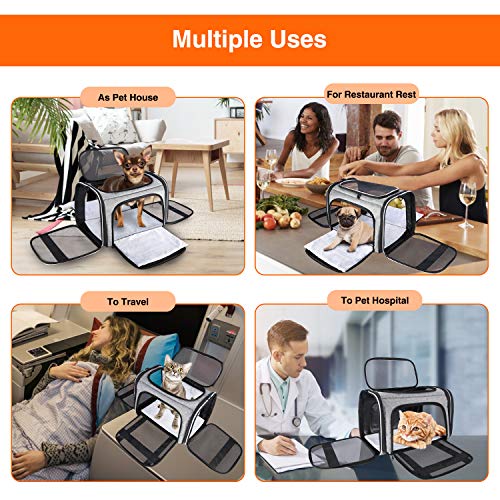 MASKEYON Large Collapsible Airline Approved Soft Sided Pet Carrier