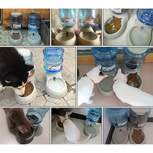 Automatic Pet Feeder Healthy Simply Automatic Feeder Suitable For