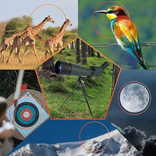 HD Spotting Scope with Tripod 2060x80mm Hollee IP67 Waterproof Angled