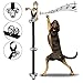 SEGMINISMART Dog Bells for Potty Training, PowPetie Dog Bell Training Your Puppy The Easy Way - 5 Extra Large Loud 1.4 Bell, Black Nylon, Adjustable Length for Small, Medium and Large Dogs