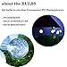Solar String Lights Outdoor Crystal Ball Waterproof Globe String Lights 31ft 50LED Solar Powered Fairy Lighting for Garden Home Landscape Holiday Decorations White