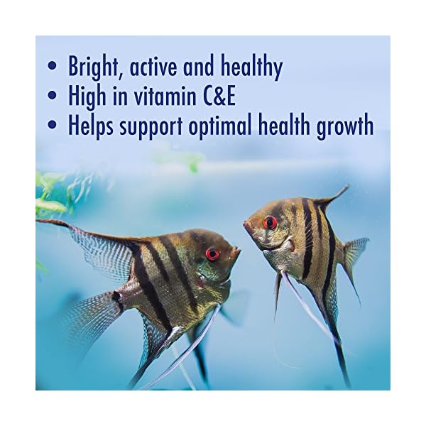 AQUARIAN Complete Nutrition, Aquarium Tropical & Temperate Fish Food Flakes, 50g Container