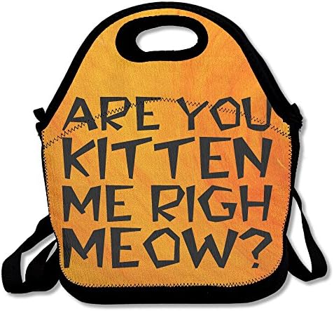 Are You Kitten Me Right Meow Lunch Bag