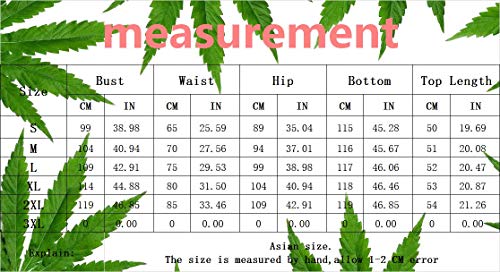 Womens Color Stripe Two Piece Outfits Short Sleeve Crop Tops High Wairst Long Pants Jumpers with Belt