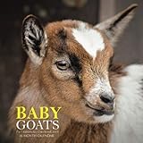 Baby Goats 7 x 7 Mini Wall Calendar 2019: 16 Month Calendar by Mason Landon