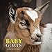 Baby Goats 7 x 7 Mini Wall Calendar 2019: 16 Month Calendar by Mason Landon