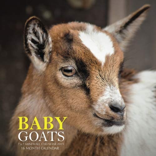 Baby Goats 7 x 7 Mini Wall Calendar 2019: 16 Month Calendar by Mason Landon
