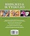 National Geographic Birds, Bees, and Butterflies: Bringing Nature Into Your Yard and Garden