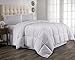 Hanna Kay Twin Comforter, Year Round Down Alternative Comforter, Duvet Insert, Fluffy,Warm, and Soft (Twin)