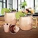 Chef's Star 6 Piece Copper Bar Tools Set - (2X) 18oz Moscow Mule Mugs - 2 Shot Glasses - 25.3 oz Shaker - 50.7 oz Pitcher