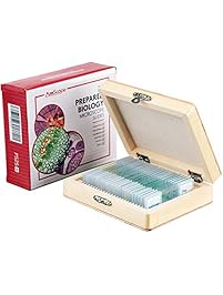 AmScope PS25 Prepared Microscope Slide Set for Basic Biological Science Education, 25 Slides, Includes Fitted Wooden Case