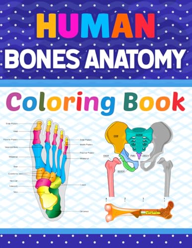 Human Bones Anatomy Coloring Book: Human Bones Anatomy Coloring Book For Kids Adults Boys Girls Teens and Medical Students. Great Book For Learn and ... Gift for Human Anatomy Students & Teachers.
