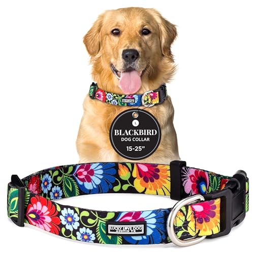 Lucky Love Dog Collars | Vivid Floral Dog Collar - Girl Dog Collar for Small Medium Large Dogs - Blackbird, Large โ image 1