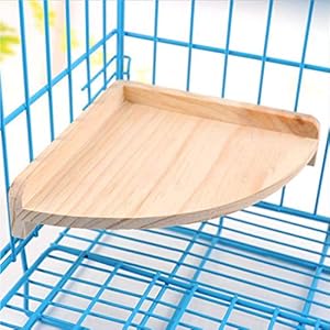 MQUPIN - Trespolo in legno per uccelli piccoli, per parrocchetti, cocorite, pappagallini, adatta anche per criceti… - immagine 4