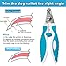 Sharp Dog Nail Clippers Trimmers with Quick Sensor, Pet Nail Clippers with Safety Guard for Small Large Dogs and Cats, Dog Nail Trimmer for Thick Nails with Free Nail File & Dog Toothbrushes (Blue)