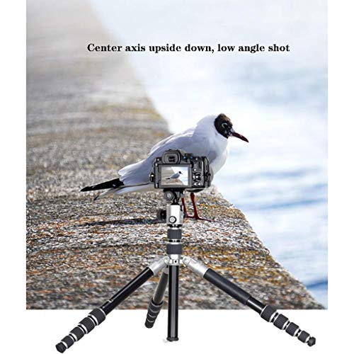 XYSQWZ DSLR Fotografie Stativ Mountain Climbing Travel Ski Tragbarer Kameraständer - Live Streaming Micro Einzelkamera… – Bild 7