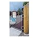 D&D Technologies TruClose TCHD1AL2S3BT Heavy Duty Self Closing Pool & Child Safety Gate Hinge (Alignment Legs, Metal Gates, Black)