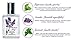 Nutravana Headache Relief -Unique Blend of Essential Oils Combines The Refreshing, Soothing Properties of Peppermint, Lavender, and Spearmint All Well Known for Their Natural Therapeutic Applications