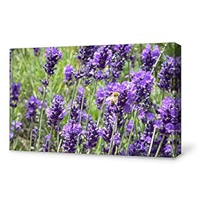 Canvas Wall Art for Living Room,Bedroom Home Artwork Paintings Romantic Lavender Ready to Hang - 12x18 inches