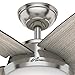 Hunter Fan 52 inch Contemporary Brushed Nickel Indoor Ceiling Fan with Light Kit and Remote Control (Renewed)